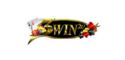 3win2u-logo